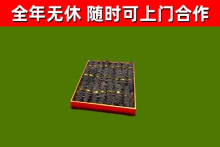 泸州市回收海参